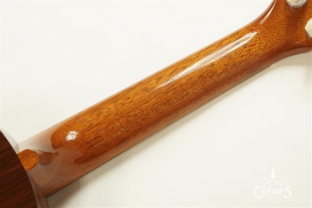 ECO-S - Spruce Top / Rosewood Side&Back